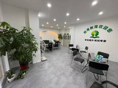 河南樹青教育信息咨詢 專業(yè)服務(wù)引領(lǐng)教育新方向