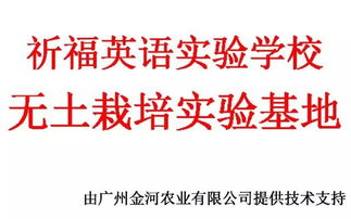 校企攜手，共繪軟件技術教育新篇章