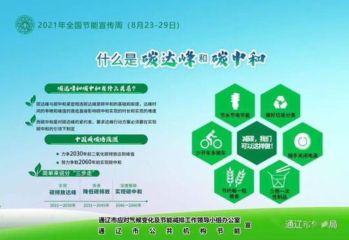 軟件開發(fā)賦能節(jié)能降碳 2021年全國(guó)節(jié)能宣傳周綠色技術(shù)實(shí)踐與展望
